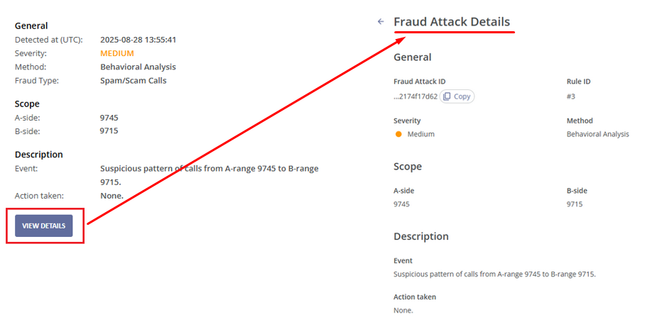 fraud_alerts_view_details_email_and_ui_whl.png
